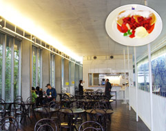 500階　咖啡館＆餐廳 神樁